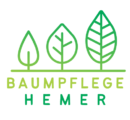 Baumpflege Hemer